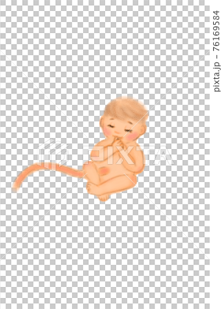 Image illustration of a baby in the stomach. Hand drawn. 76169584