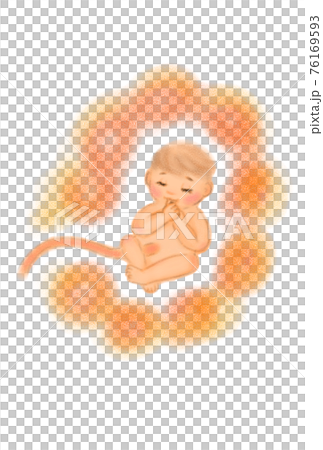 Image illustration of a baby in the stomach. Hand drawn. 76169593