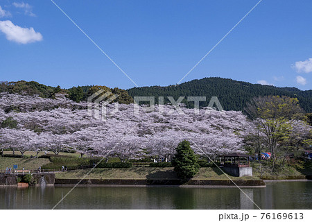 春の上米公園 76169613