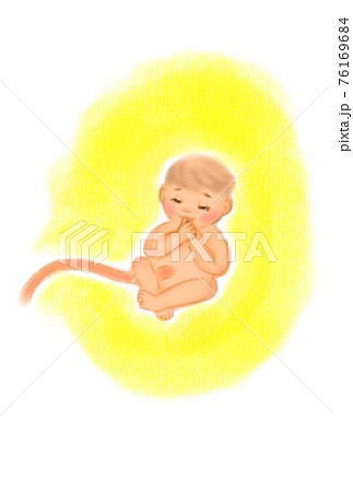 お腹の中にいる赤ちゃんのイメージイラスト 手描き のイラスト素材
