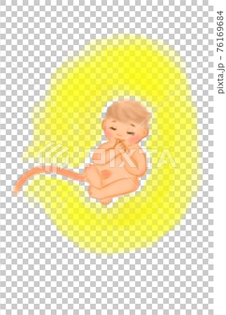 Image illustration of a baby in the stomach. Hand drawn. Image illustration of a baby in the stomach. Hand drawn. 76169684