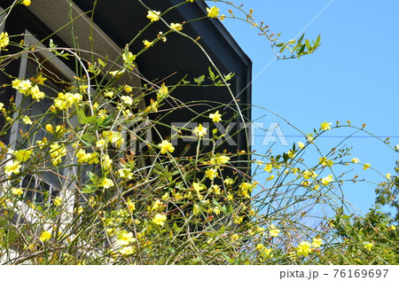 甲山山麓にて 76169697