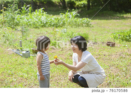 庭で遊ぶ農家の親子 庭で遊ぶ農家の親子 76170586
