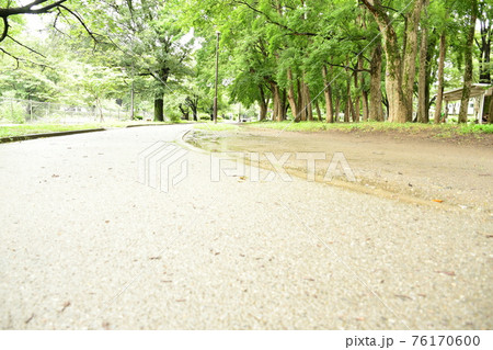 梅雨時の公園 雨後の遊歩道 梅雨時の公園 雨後の遊歩道 76170600
