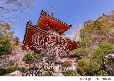 広島市西区にある三瀧寺境内 広島市西区にある三瀧寺境内 76170630
