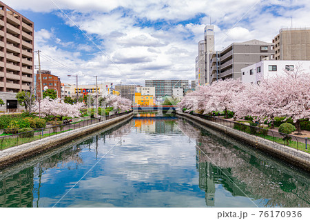 春の景色 春の景色 76170936