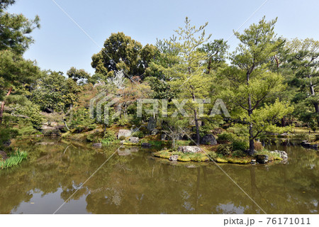 等持院 東庭園 京都市 等持院 東庭園 京都市 76171011