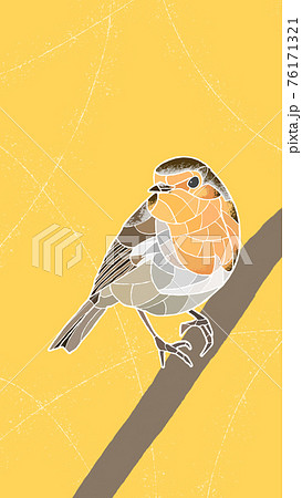 European Robin ヨーロッパコマドリのイラスト素材