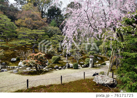 旧竹林院 庭園 滋賀県大津市坂本 旧竹林院 庭園 滋賀県大津市坂本 76171725
