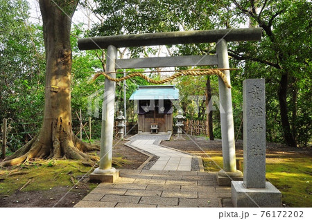 静岡県 柿田川公園 貴船神社参道のえんむすび通り 静岡県 柿田川公園 貴船神社参道のえんむすび通り 76172202