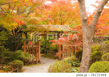 宮城県松島 円通院の紅葉した庭園の写真素材