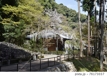 春の長谷寺 納骨堂 奈良県桜井市 春の長谷寺 納骨堂 奈良県桜井市 76173037