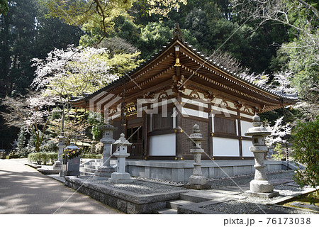 春の長谷寺 納骨堂 奈良県桜井市 春の長谷寺 納骨堂 奈良県桜井市 76173038