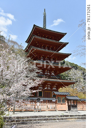 春の長谷寺 五重塔 奈良県桜井市 春の長谷寺 五重塔 奈良県桜井市 76173261