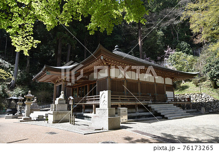 春の長谷寺 弘法大師御影堂 奈良県桜井市 春の長谷寺 弘法大師御影堂 奈良県桜井市 76173265