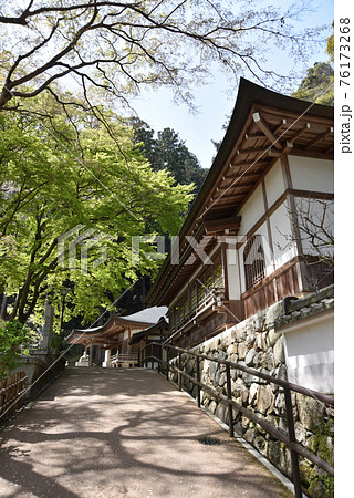 春の長谷寺　御供所　奈良県桜井市 76173268