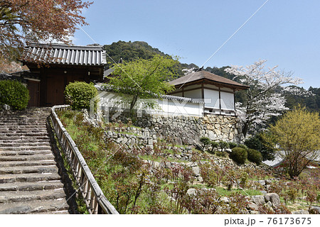 春の長谷寺 月輪院 奈良県桜井市 春の長谷寺 月輪院 奈良県桜井市 76173675