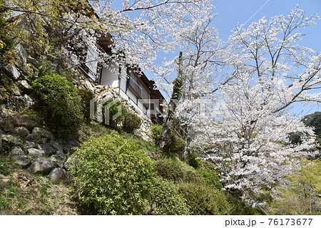 春の長谷寺 月輪院 奈良県桜井市 春の長谷寺 月輪院 奈良県桜井市 76173677