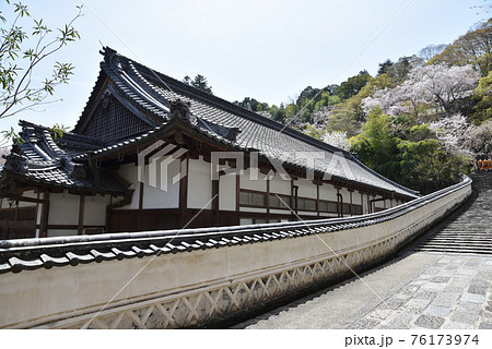 春の長谷寺 昭和寮と参道 奈良県桜井市 春の長谷寺 昭和寮と参道 奈良県桜井市 76173974