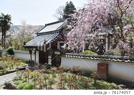 春の長谷寺 歓喜院 奈良県桜井市 春の長谷寺 歓喜院 奈良県桜井市 76174057