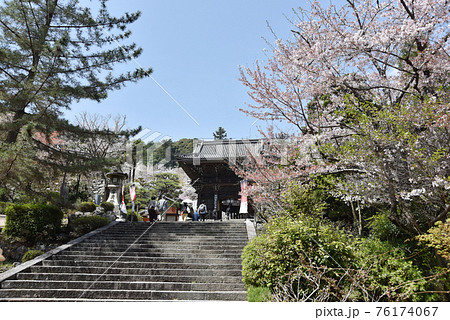 春の長谷寺 境内入口 奈良県桜井市 春の長谷寺 境内入口 奈良県桜井市 76174067