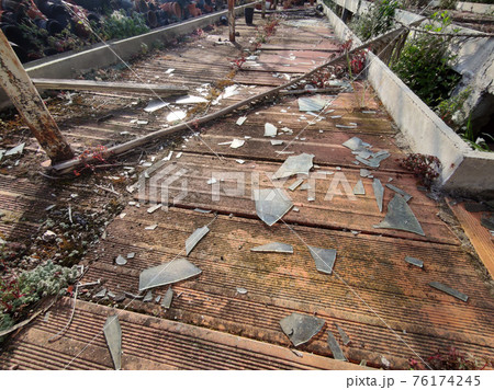 old abandoned greenhouse broken windows old abandoned greenhouse broken windows 76174245