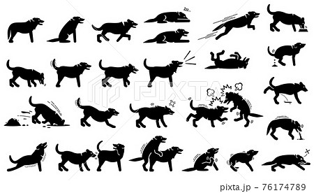 Dog actions, reactions, postures, and body languages. Illustrations depict dog standing, walking, running, jumping, eating, barking, and digging hole. It also depict dog sniffing and mating. Dog actions, reactions, postures, and body languages. Illustrations depict dog standing, walking, running, jumping, eating, barking, and digging hole. It also depict dog sniffing and mating. 76174789