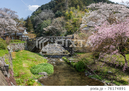 野鳥川に架かる石造秋月の目鏡橋と桜の風景 野鳥川に架かる石造秋月の目鏡橋と桜の風景 76174891