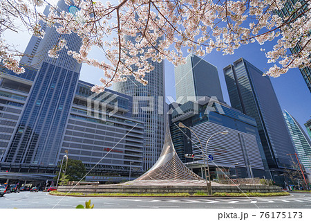 名古屋駅と桜 76175173