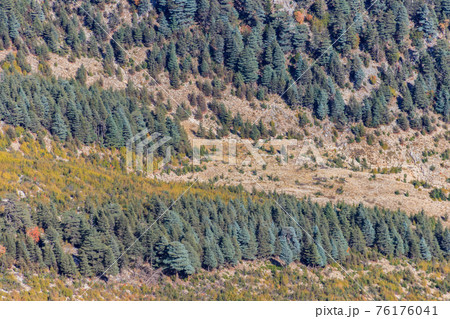Aerial view of the coniferous forest in the Taurus mountains, Turkey 76176041
