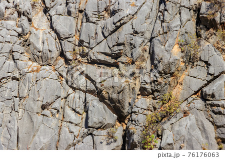 Natural texture of a mountain cliff rock for background Natural texture of a mountain cliff rock for background 76176063