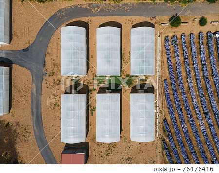 Cultivated greenhouse in plantation. Organic agricultural farm in countryside 76176416