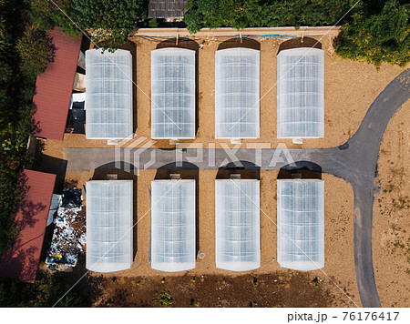 Cultivated greenhouse in plantation. Organic agricultural farm in countryside 76176417