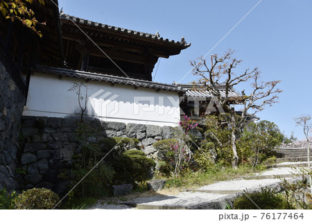 聖林寺　山門への参道　奈良県桜井市 76177464