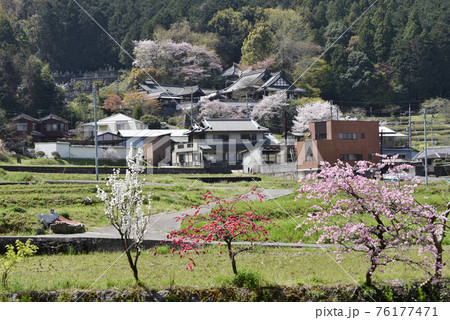 聖林寺　遠望　奈良県桜井市 76177471