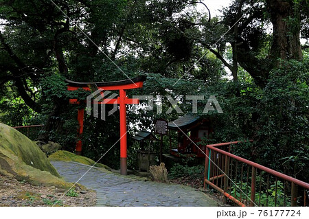 滋賀：琵琶湖：竹生島散策・13（滋賀県長浜市） 76177724