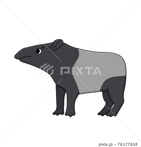 Vector cute outline doodle cartoon Malayan or Asian tapir. Isolated hand drawn illustration on white background, side view. Tapir looks to the left. 76177838