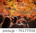 紅葉と女性 76177938