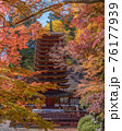 談山神社の紅葉 76177939