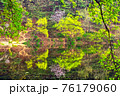 森林 池 湖 76179060