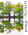 池 公園 木 76179275