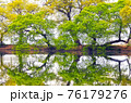 池 公園 木 76179276