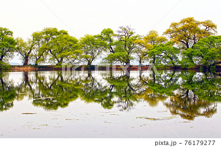 ガーデン 庭園 池 76179277