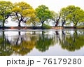湖 公園 樹木 76179280