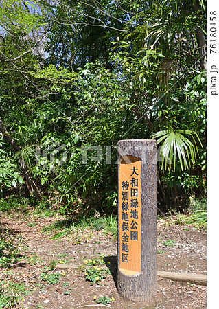 見沼田圃散歩：大和田緑地公園　 76180158