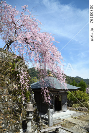那智山 観世音菩薩 お堂 那智山 観世音菩薩 お堂 76180300