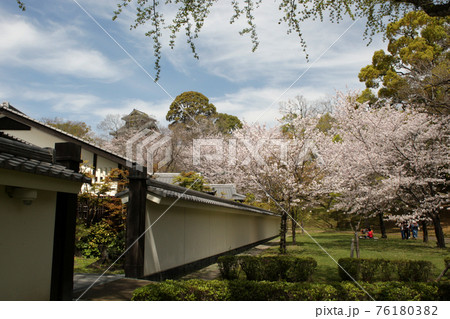熊本城下 満開の桜に彩られた桜の馬場「城彩苑」 熊本城下 満開の桜に彩られた桜の馬場「城彩苑」 76180382