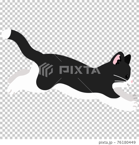 ジャンプするシンプルで可愛いハチワレ猫のイラスト　主線なし 76180449