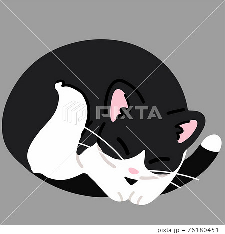 丸まって眠るシンプルで可愛いハチワレ猫のイラスト 主線なしのイラスト素材