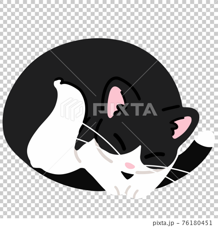 丸まって眠るシンプルで可愛いハチワレ猫のイラスト 主線なしのイラスト素材